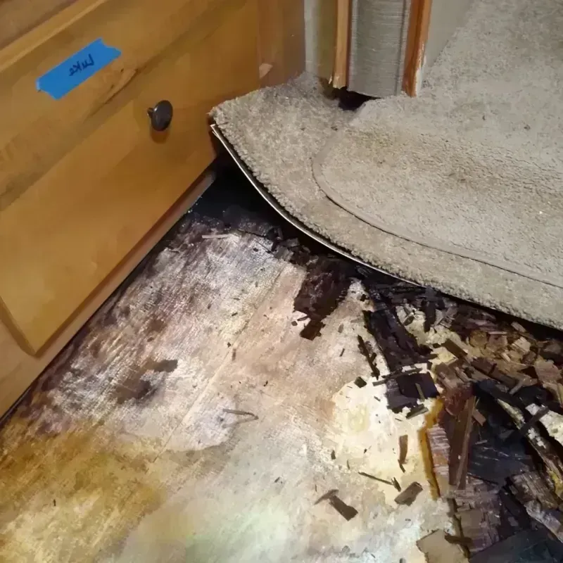 Best Wood Floor Water Damage Service in Berea, OH